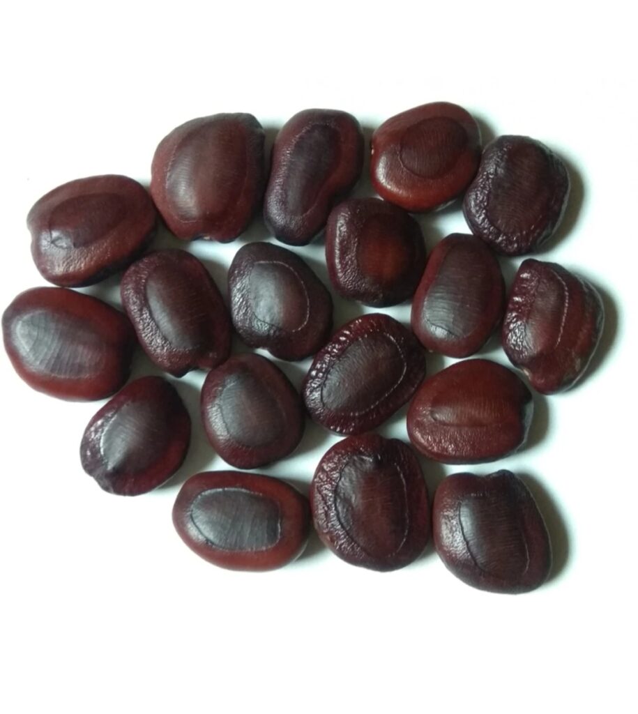 चिंचेच्या बिया